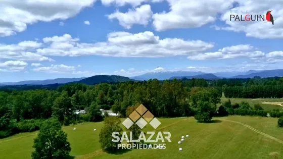 Se Vende!! Lote 10 Panguipulli  Reserva Palguín. Los Ríos 