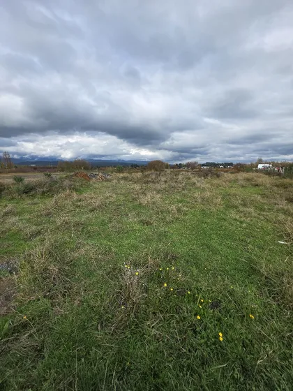 Terreno De 5 Mil Metros Cuadrados Excelente Para Proyectos I