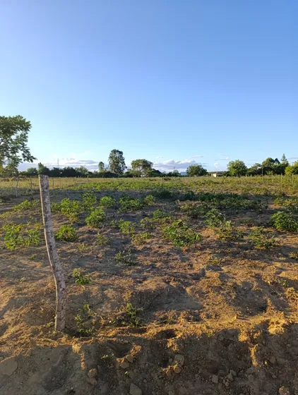 Terreno 1000m2 Residencial Florida 