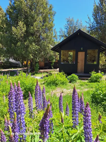 Dueño Vende Espectacular Terreno En Villa La Angostura De 1906 M2 Con Cabaña De 22m2 Y Oficina De 9 M2 Posibilidad De Construir Otra Casa De 520m2