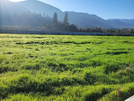 Terreno Parcela Buin