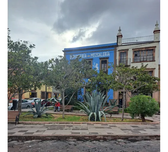 Local En Renta En Centro Historico, San Luis Potosi, S.l.p.