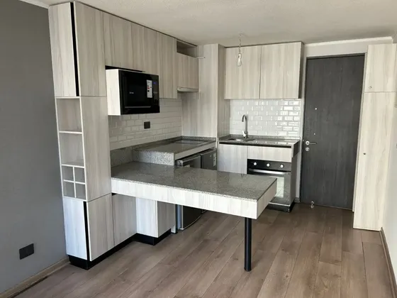Arriendo Depto Semi Nuevo, 1 D, Cocina Equipada Y Bodega