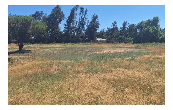 Terreno En Venta Avd. Lo Castro (comuna De Lampa)