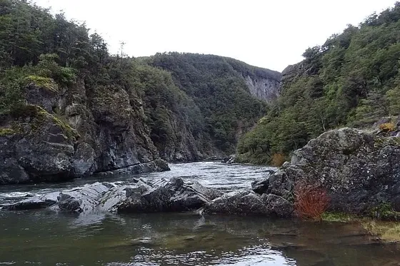Orilla Río Cisnes 10,62 Ha