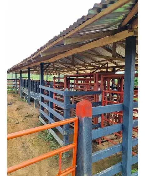 Se Vende O Permuta  Finca Ganadera En Caracoli - Antioquia