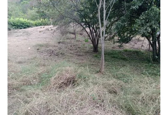 Lote En Santa Fe, Antioquia, Colombia.