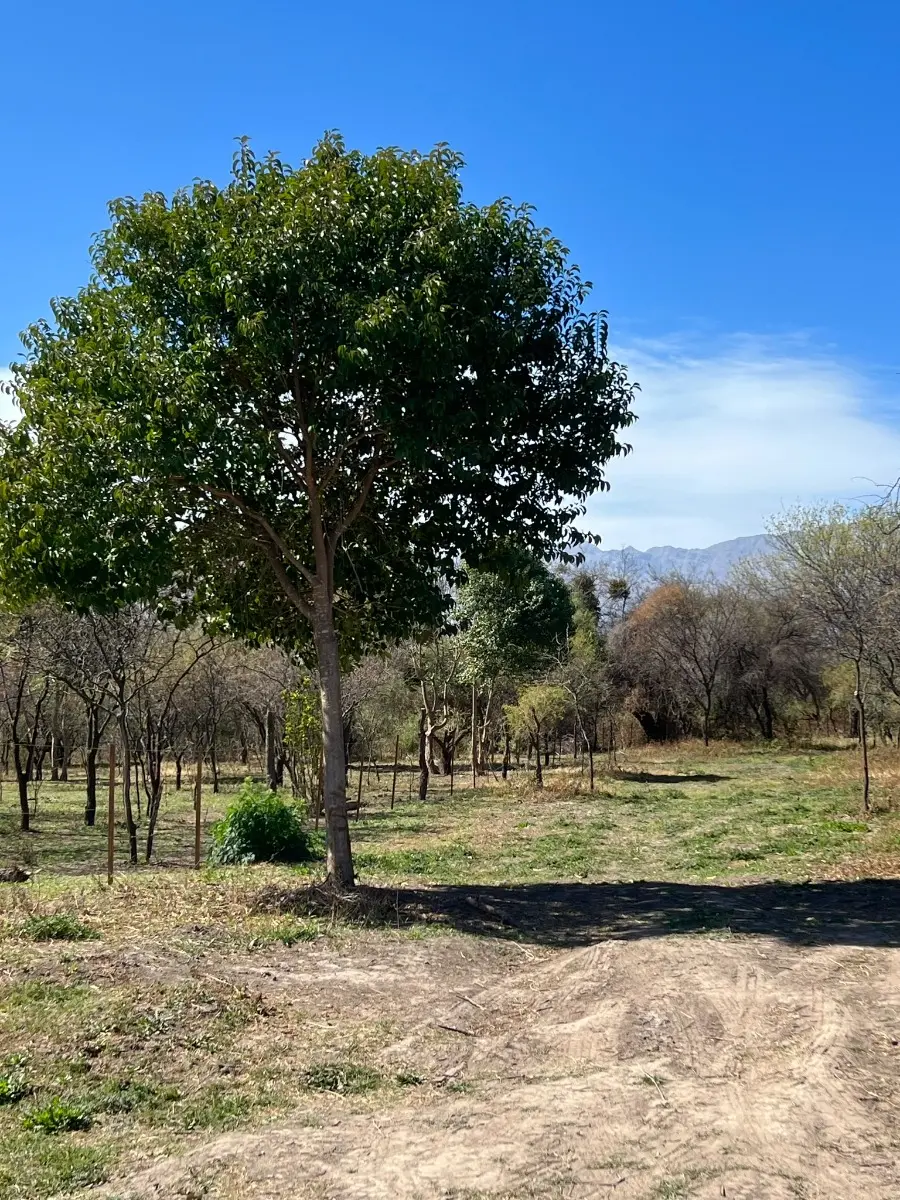 Lot 1382 M² with Title Deed / Las Caleras - Villa De Las Rosas - Traslasierra