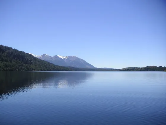 Campo De 423 Has En Venta - Lago Lezama
