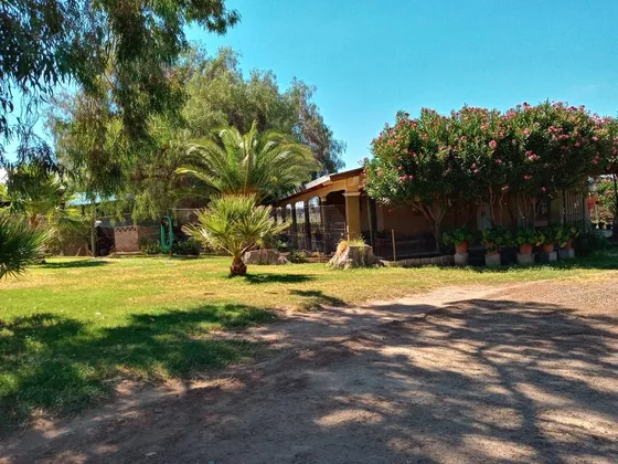 Finca: Excelente Unidad Productiva En San Francisco, Lavalle A Solo 10 Km De La Villa Tulumaya Y 40 Km De La Ciudad De Mendoza.