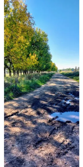 Lotes Zona Oeste 