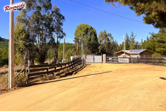 Linda Parcela Con Bosque Propio, Loteo En Paredones/bucalemu
