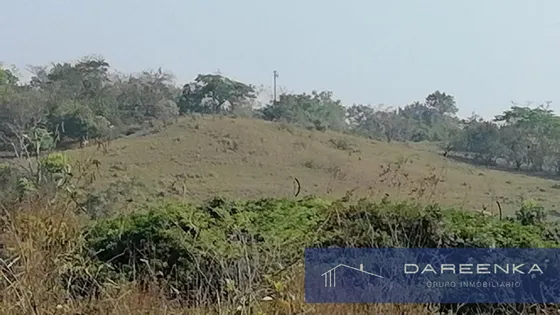 Terreno En Venta En Tuxtepec 141has