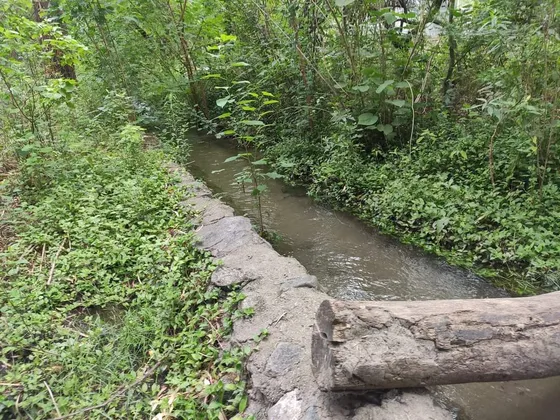 3 Hectáreas + Casa En Luyaba