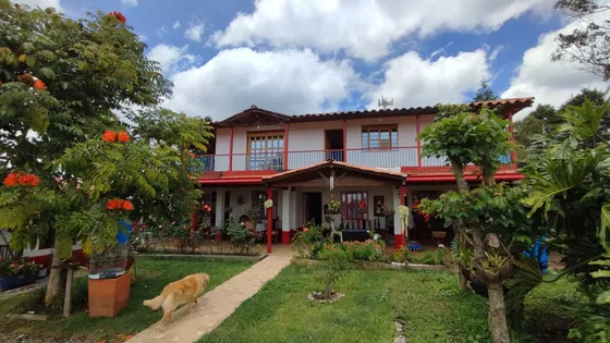 Casas En Arriendo Rionegro 643-8090628