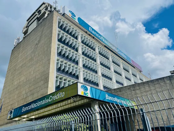 San Bernardino/av Vollmer/edificio Corporativo/area 17.500m2/en Venta 
