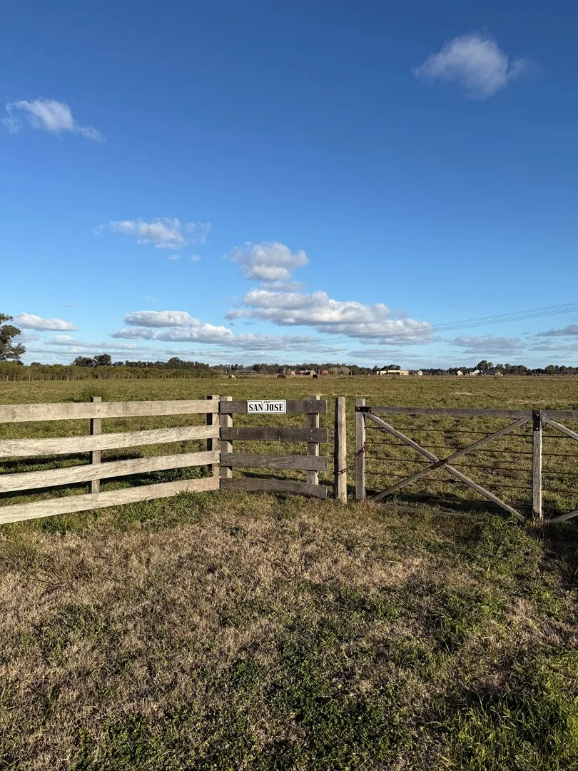 Rural Development Land for Sale in Zárate, Greater Buenos Aires, North Zone, Argentina