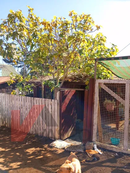 Acogedora Casa A Pasos De La Playa, En La Comuna De El Tabo