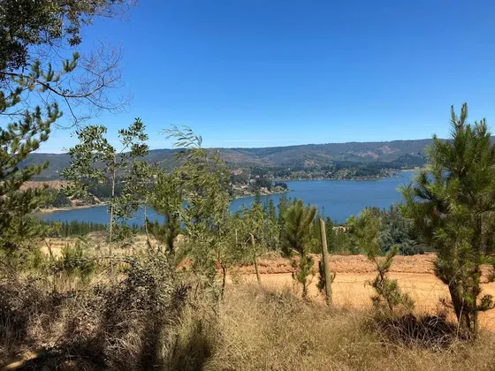 Maravillosa Vista Al Lago Vichuquen (171951)