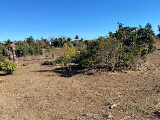 Sitio Plano Cercano A Municipalidad Santo Domingo