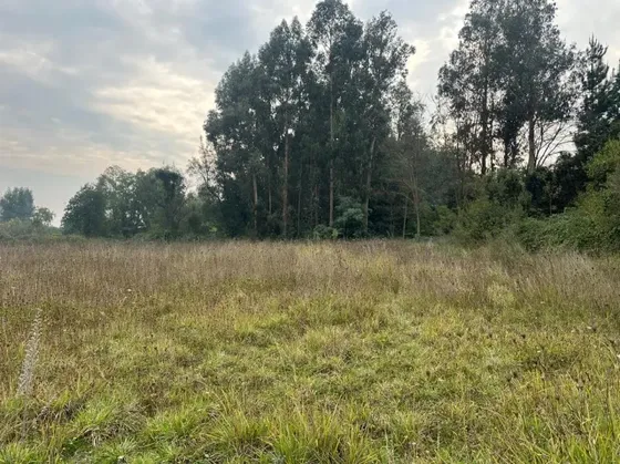 Terreno En Maule Sur