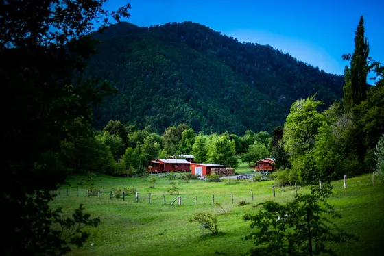 Venta De Complejo Turístico Familiar En Malalcahuello 