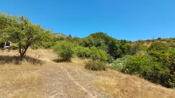 Terreno Comercial 25.000 M² En Villa Alemana