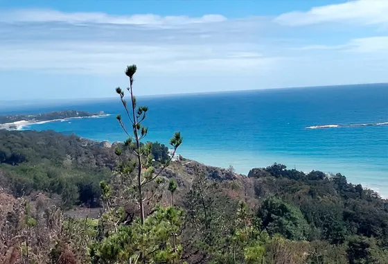 Casa-parcela En Sector Los Lobos, Vista Espectacular!