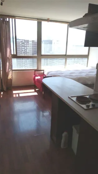 Departamento En Venta Tipo Estudio De 1 Dorm. En Santiago