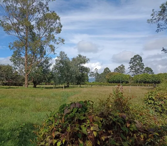 Lote En Venta Ubicado En Rionegro Sector Cabeceras (25866).