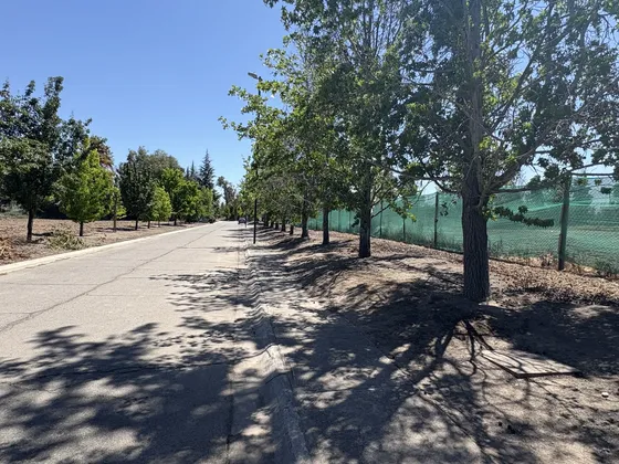 Parcela No Perimetral En Condominio El Algarrobal