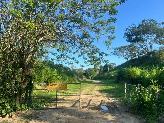   Finca Ganadera Y Agrícola, En El Naipe, Carabobo. Zc.p