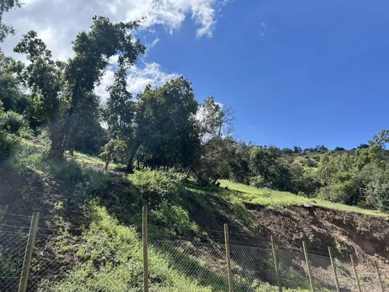 Sitio En Venta En Santa Maria De Manquehue