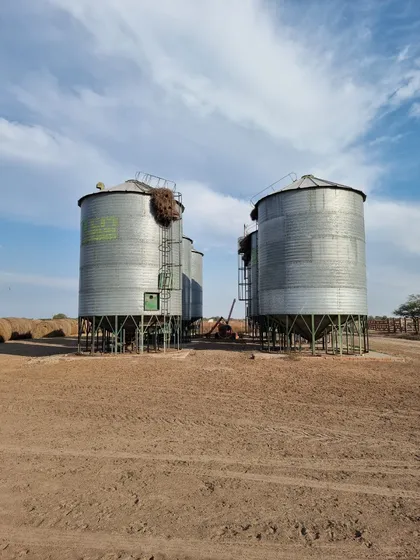 Venta Campo Santa Fe Agricola Ganadero Permuta V Minetti Funcionando