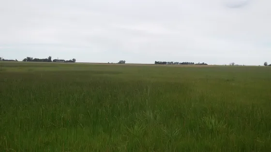 Campo En Venta En General López