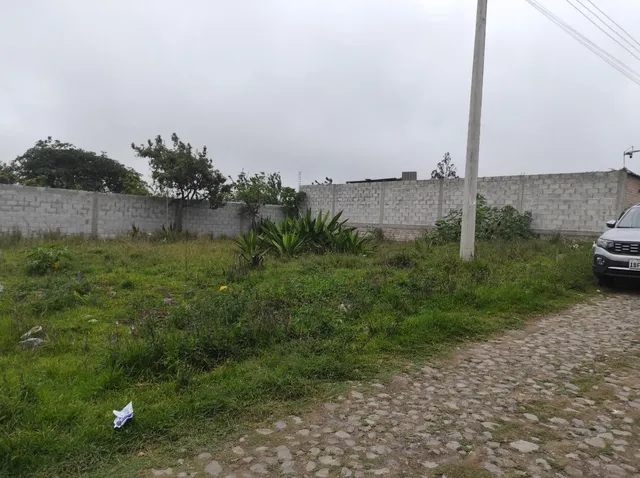 Terreno Plano 403 M2, Carmelo Alto, Calle Nuevo Porvenir