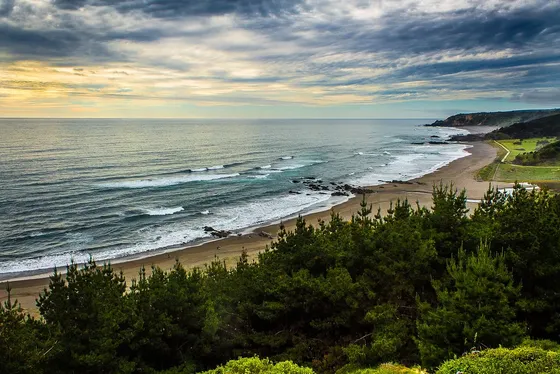 Parcela De 5000 M2 Con Casa Y Agua, A Minutos De Pichilemu