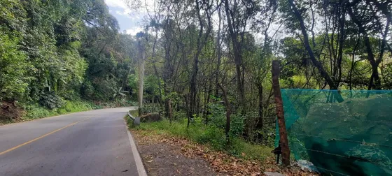 Con Vista Al Lago Sobre La Carretera