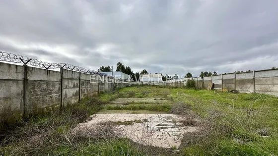 Terreno Con Buena Ubicación