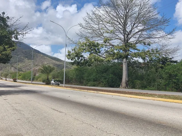 Amplio Lote De Terreno En La Avenida Fucho Tovar Sentido El Valle - La Asuncion