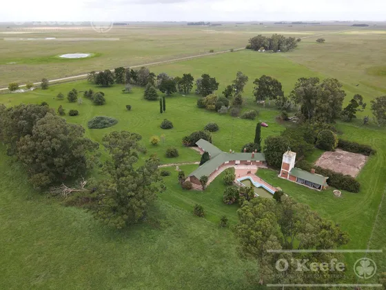 Campo Mixto En Venta De 825 Has -excelente Mejoras Y Ubicación - Ayacucho