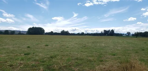 Agrícola En Venta En Fresia