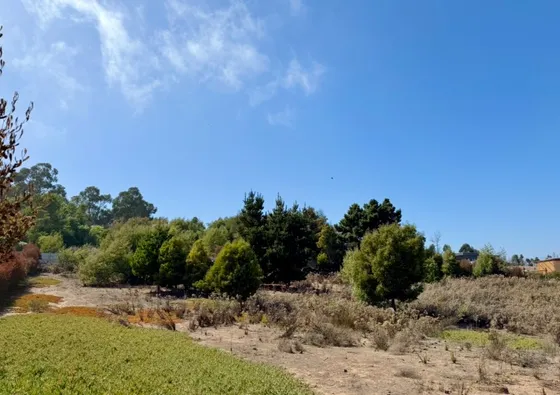 Parcela En Maitencillo