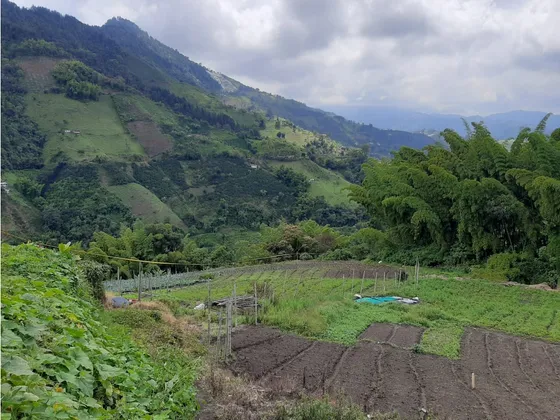 Lote En Venta En La Siria Manizales | Venta De Lotes
