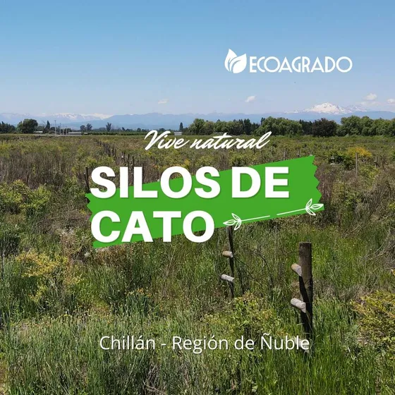 Parcelas En Chillán (89270)