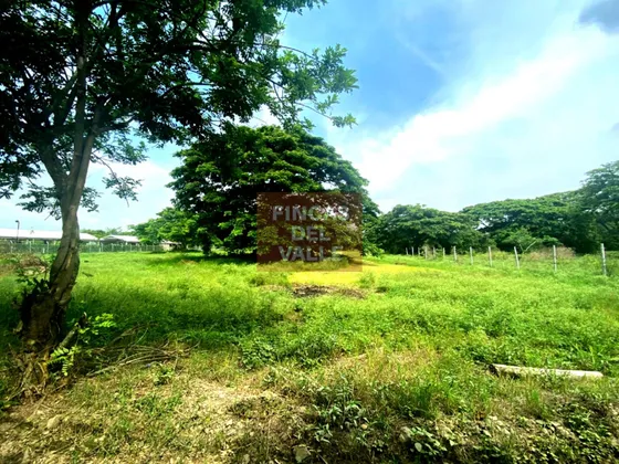 Rozo, Matapalo, 12.800 M2, Lote En Venta