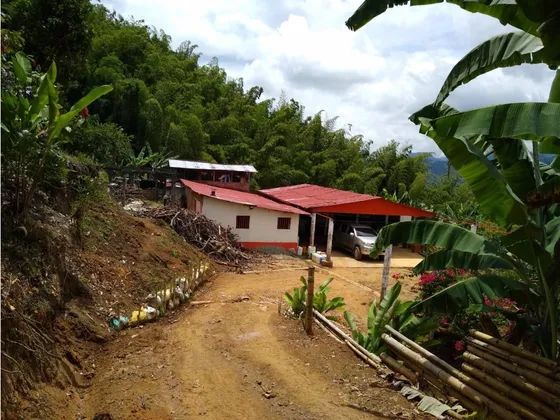 Se Vende Finca En Caicedonia - Valle Del Cauca