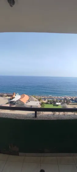 Apto De 1 Hab Y 1 Baños
