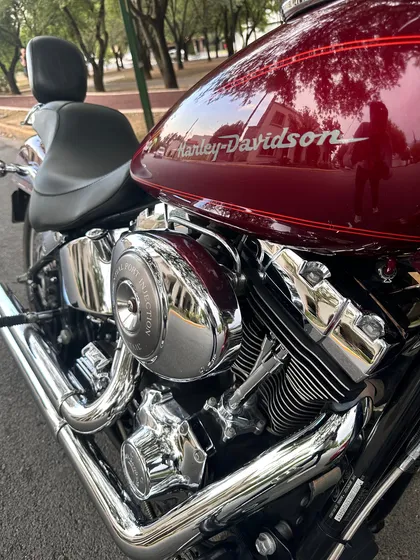 Harley Softail