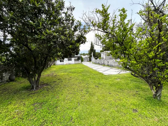 Casa En Venta En Xochitepec